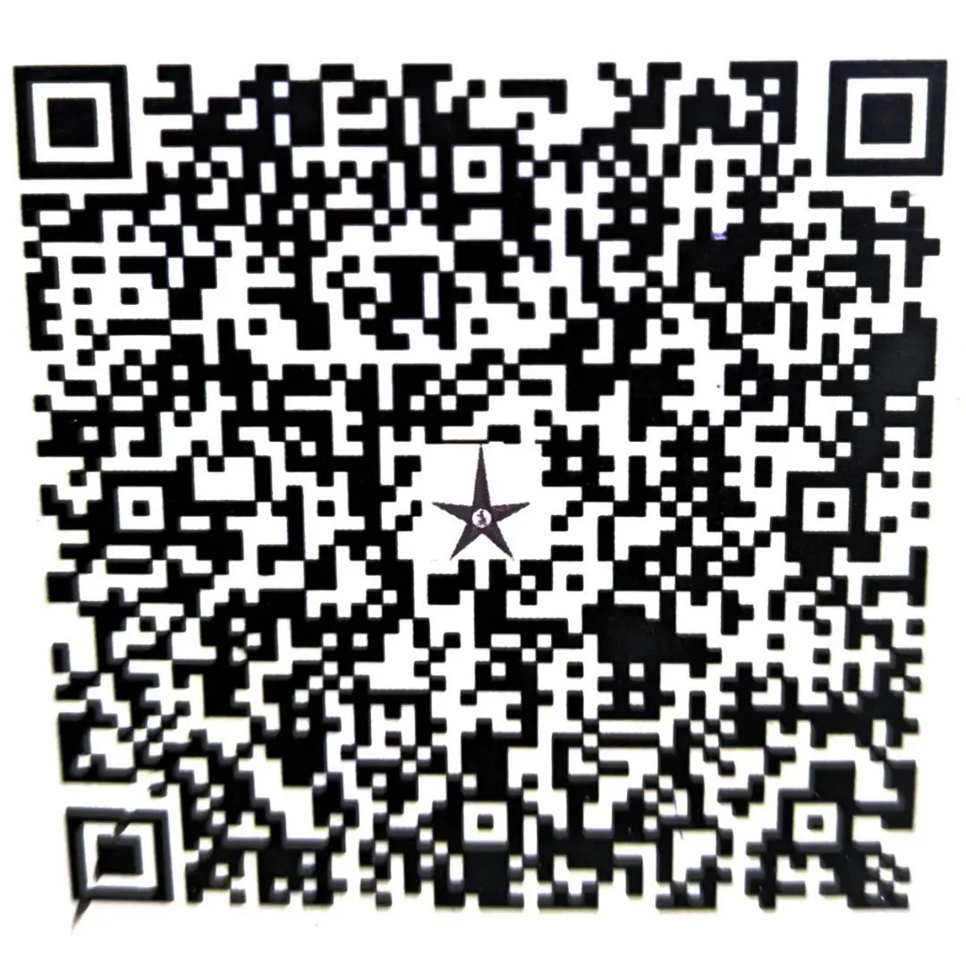 MAG Homoeo UPI QR